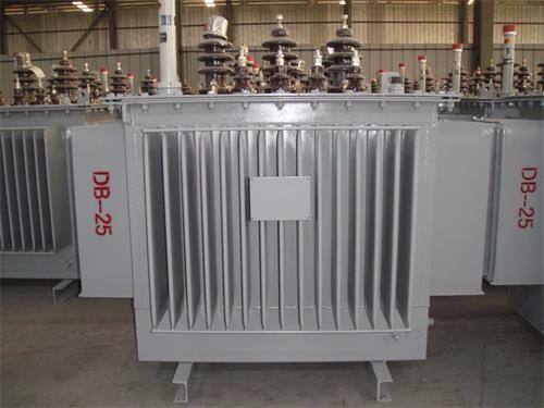 鸡西S13-100KVA/10KV/0.4KV油浸式变压器
